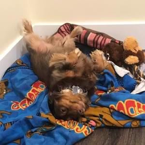 Meet your Posher, Jeffrey